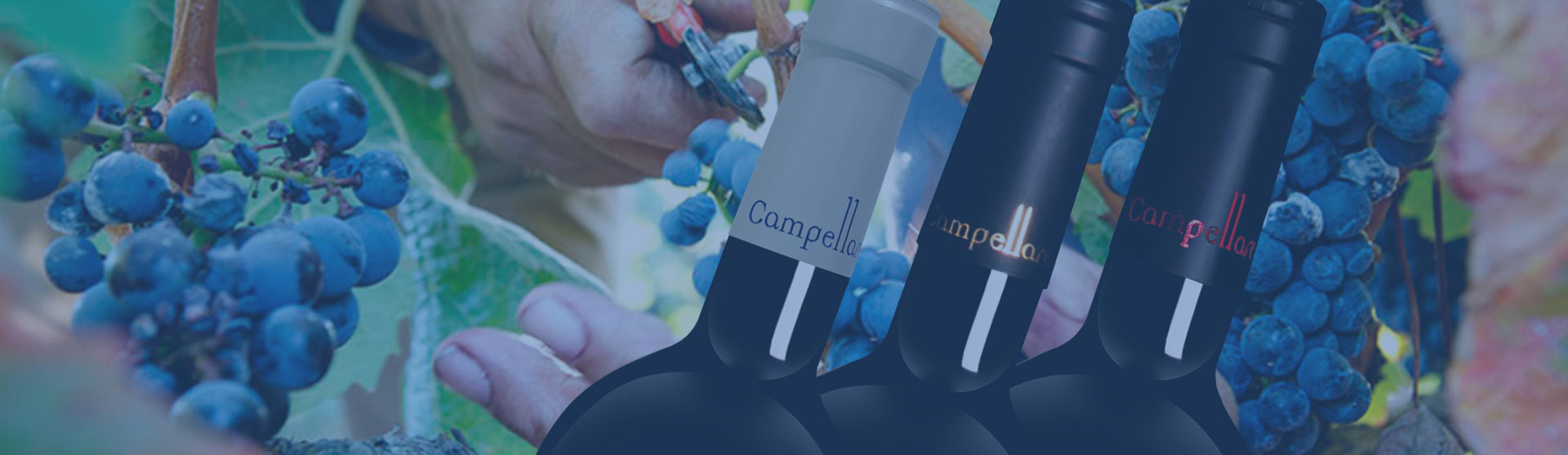 Patrimonio en Huércanos