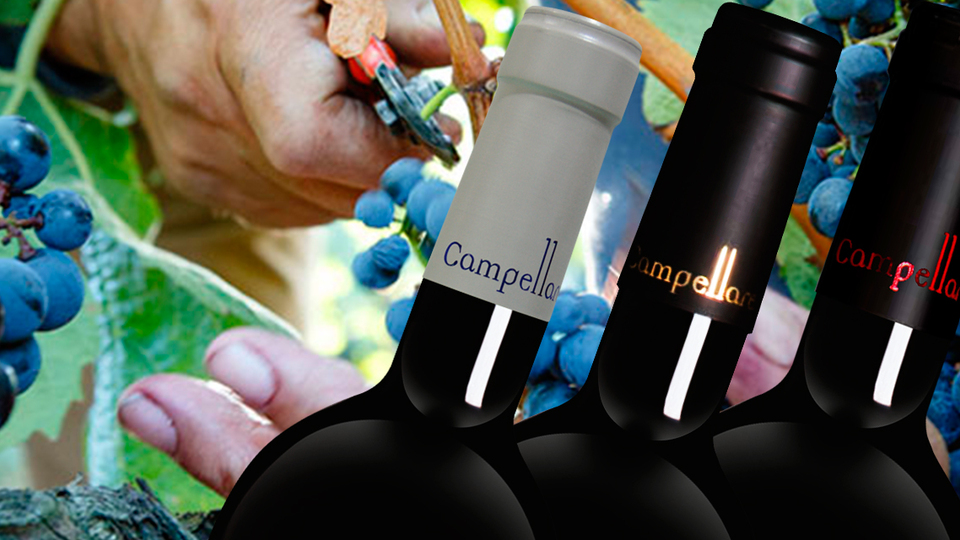 Bodegas Cooperativa San Pedro Apostol